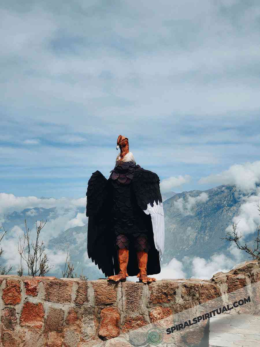 spiritual symbolism of the condor 
